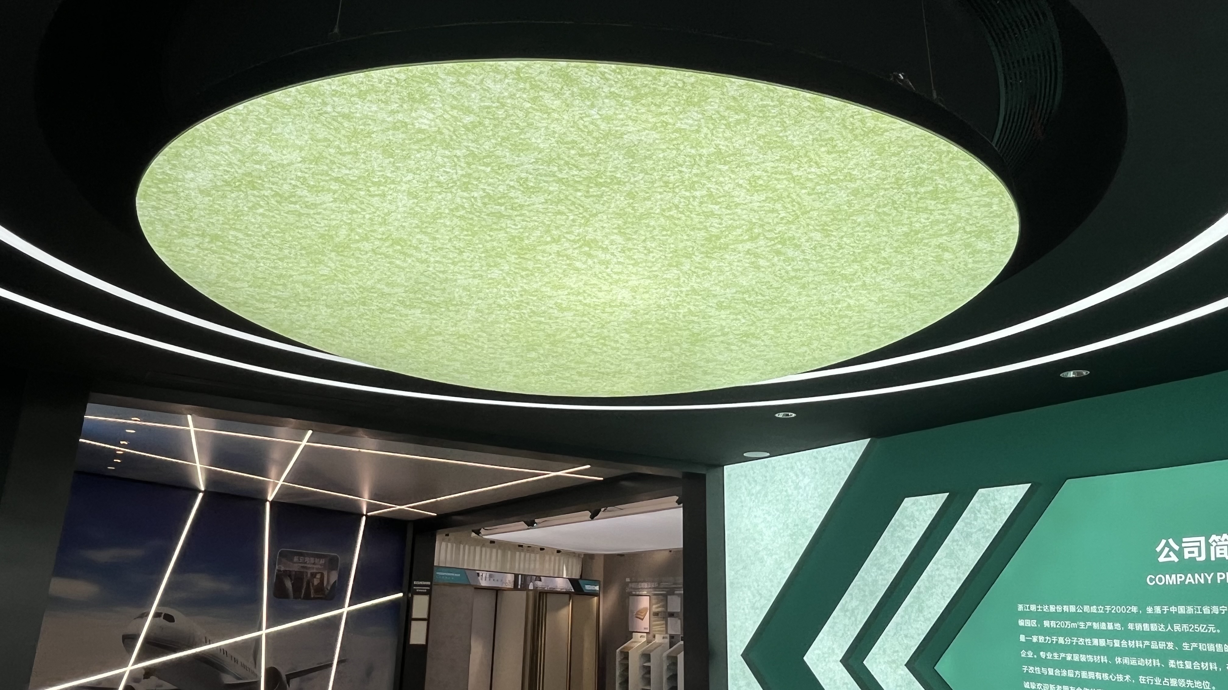 Pattern Stretch Ceiling